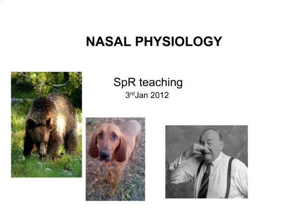 NASAL PHYSIOLOGY