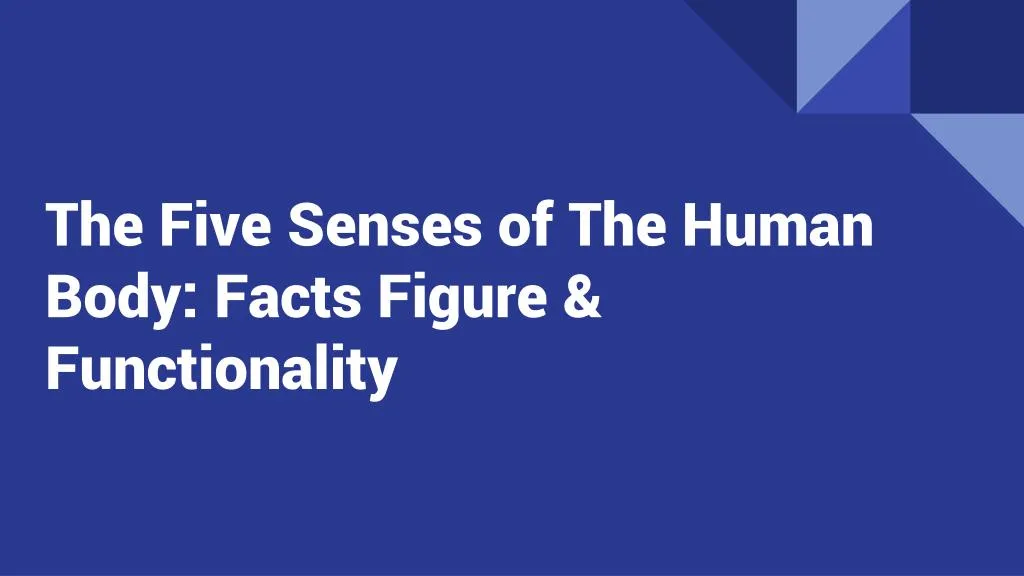 the five senses of the human body facts figure functionality