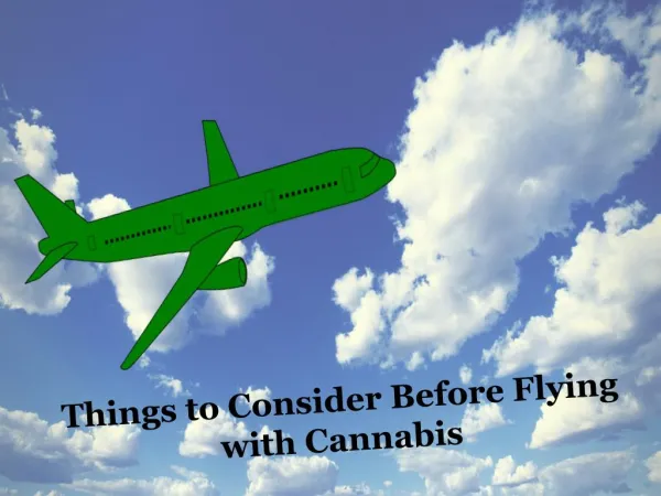 Things to Consider Before Flying with Cannabis