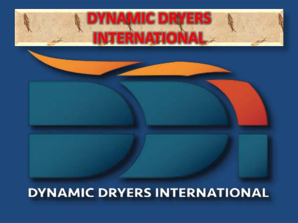 dynamic dryers international