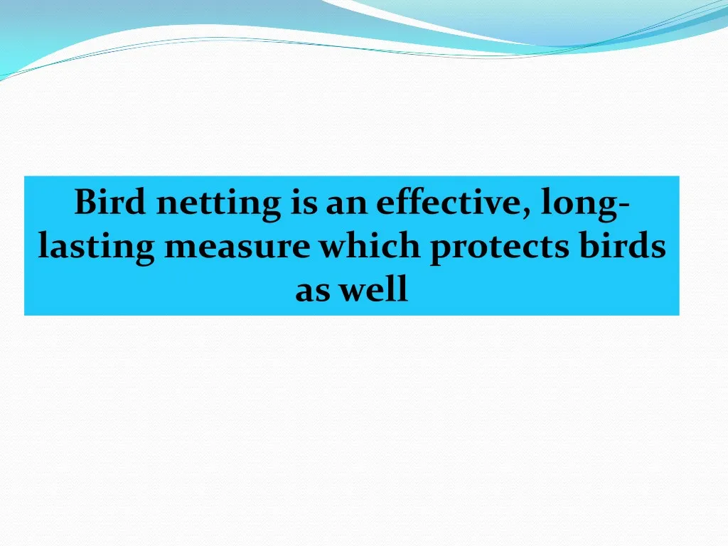 bird netting is an effective long lasting measure