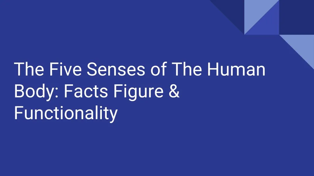 the five senses of the human body facts figure