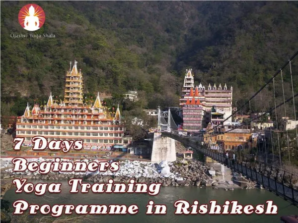 7 Days Beginners Yoga Training Programme in Rishikesh
