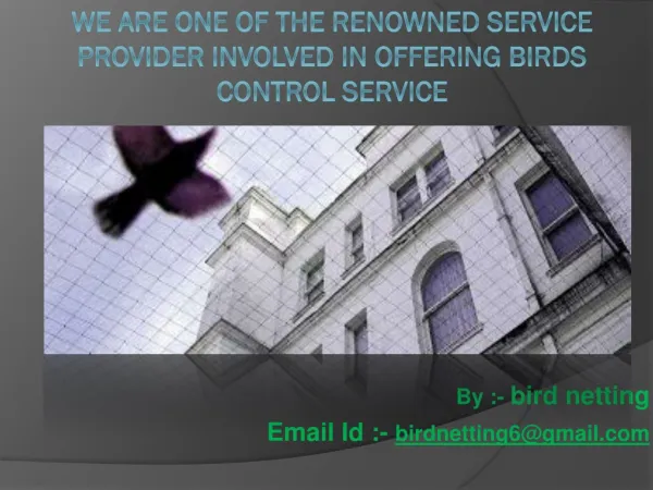 Nets n Spikes offers bird control service in India like anti bird netting
