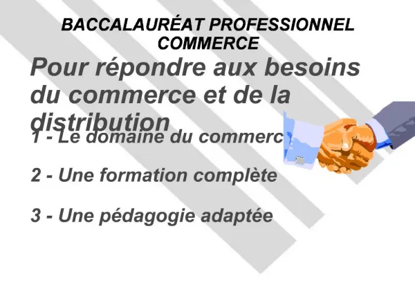 BACCALAUR AT PROFESSIONNEL COMMERCE