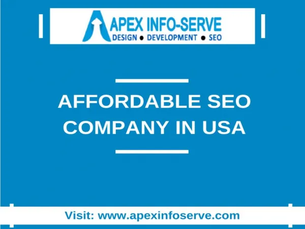 Affordable SEO Company in USA-Get better result from Apex Info-Serve