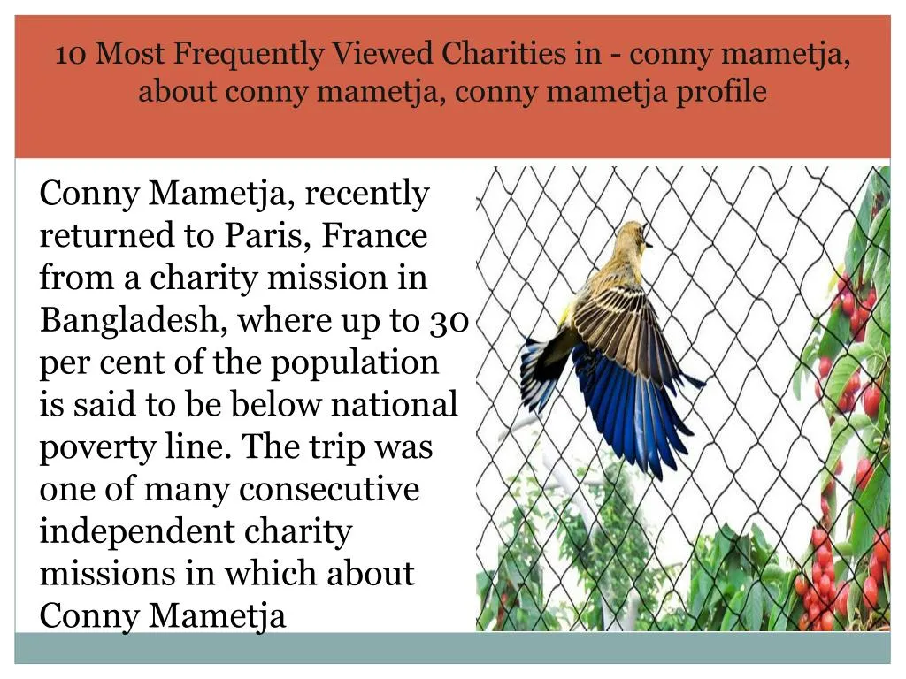 10 most frequently viewed charities in conny mametja about conny mametja conny mametja profile