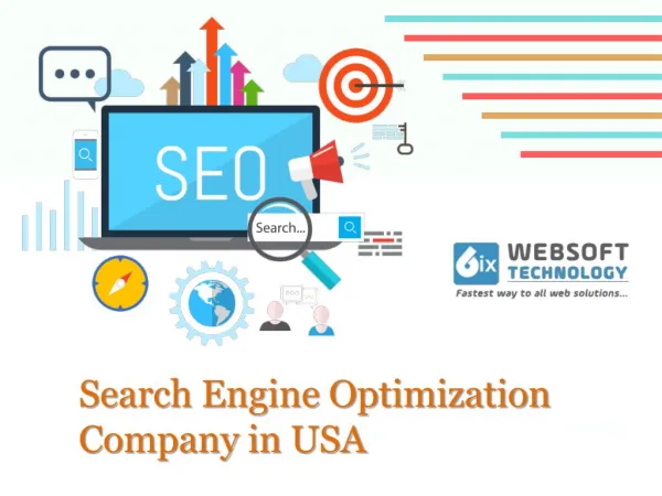 Search Engine Optimization Company in USA