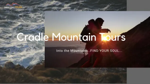 Cradle Mountain Day Tours