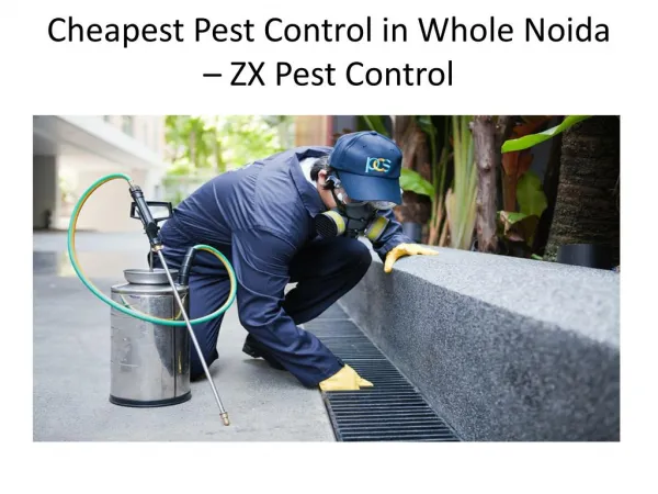 Cheapest Pest Control in Whole Noida â€“ ZX Pest Control