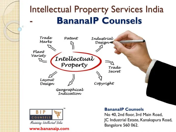 Intellectual Property Services India - BananaIP Counsels