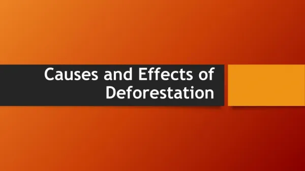 Causes and Effects of Deforestation