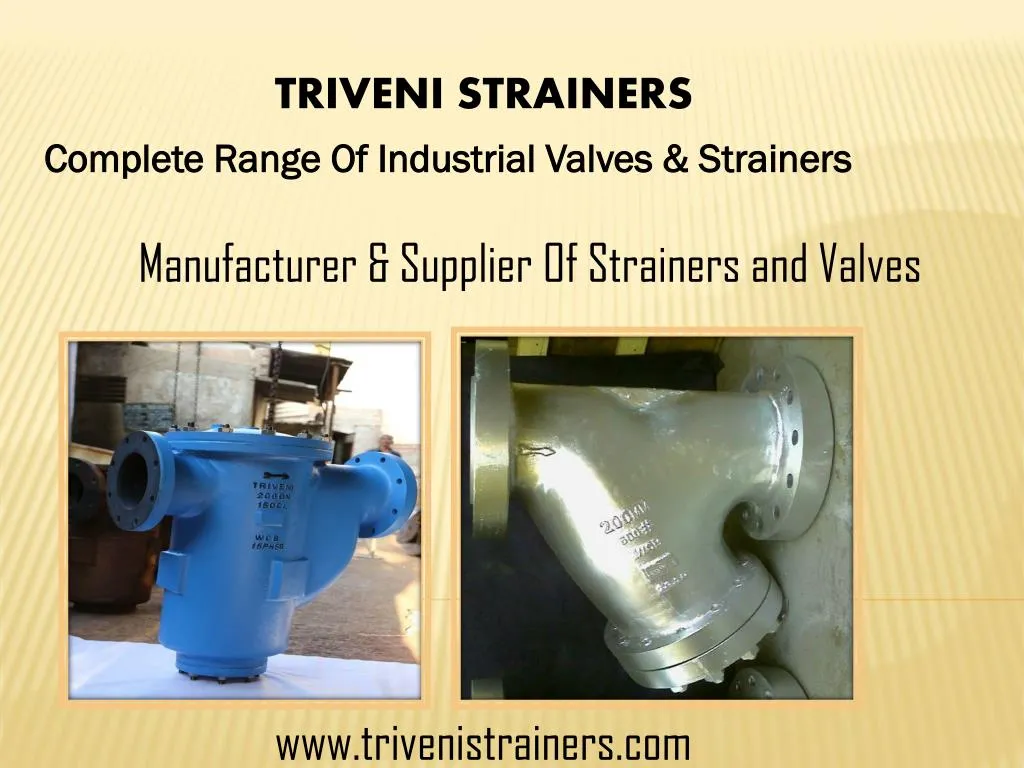 triveni strainers