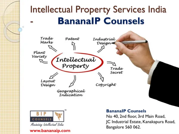 BananaIP - Leading IP Firm in India