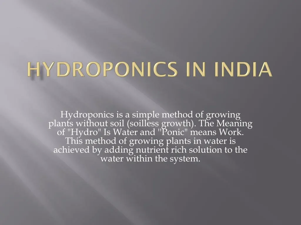 h ydroponics in india