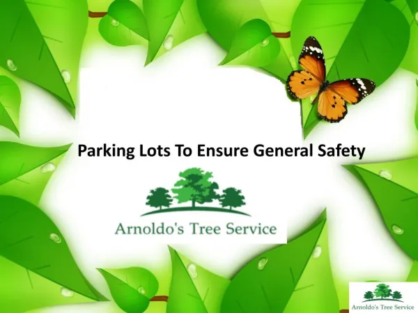 Parking Lots To Ensure General Safety