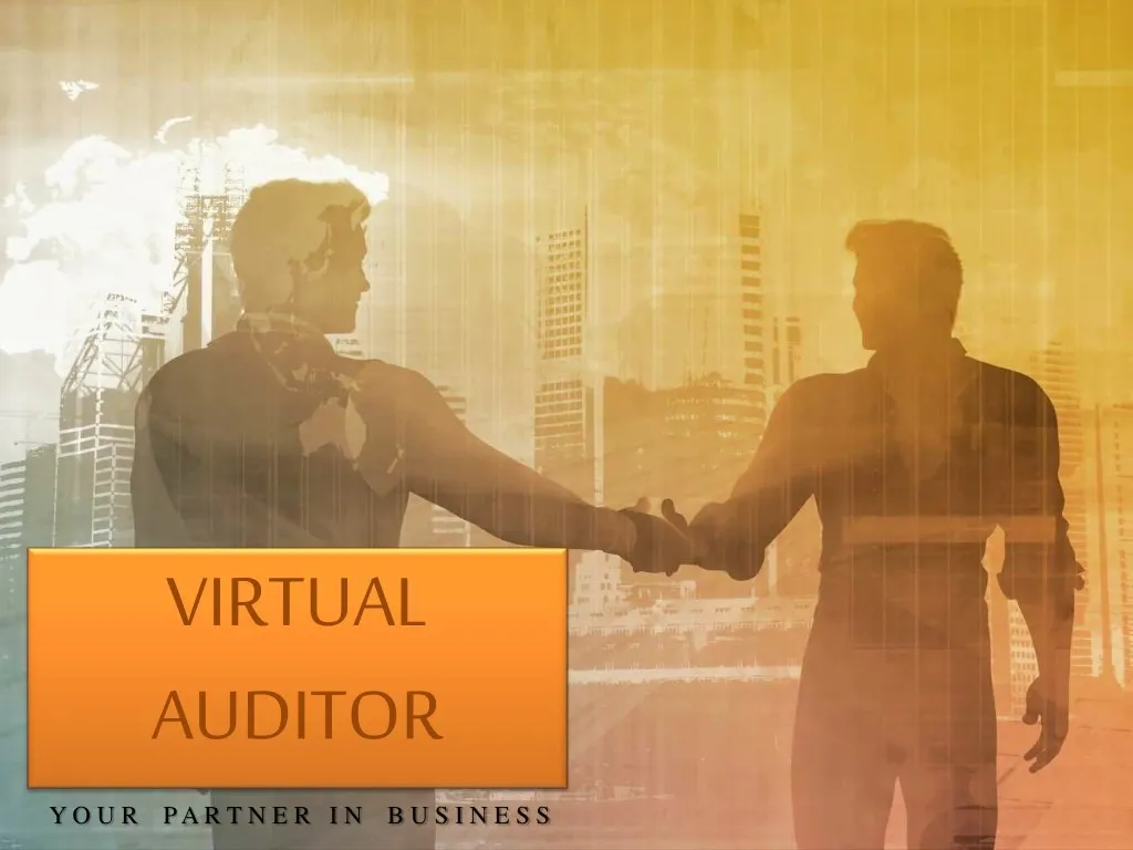 virtual auditor
