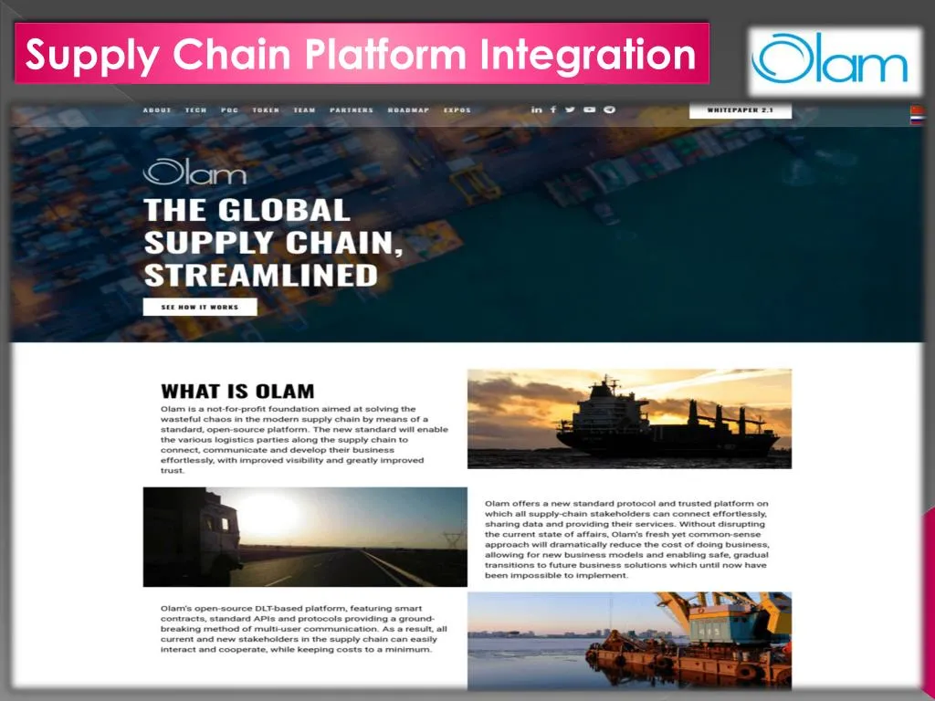 supply chain platform integration