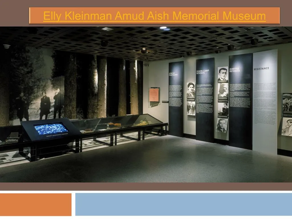 elly kleinman amud aish memorial museum