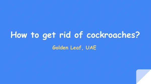 Pest control companies in Dubai | Golden Leaf UAE