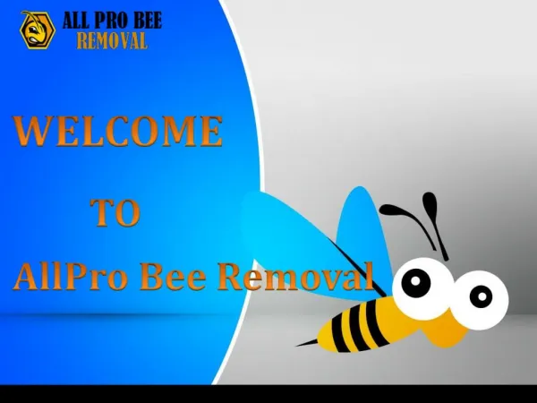 Get to know about the benefits of hiring a professional bee control service