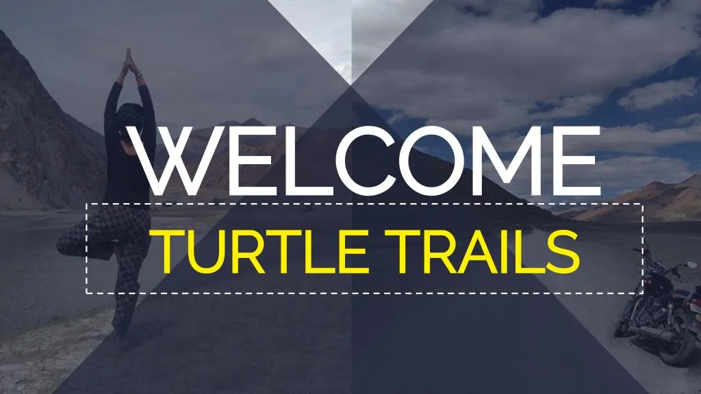 welcome turtle trails