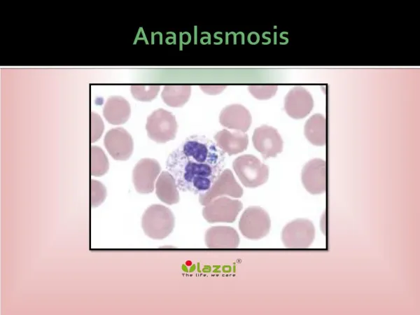 Anaplasmosis
