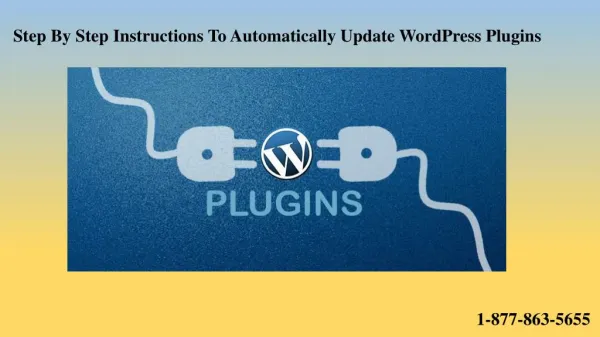 Step By Step Instructions To Automatically Update WordPress Plugins