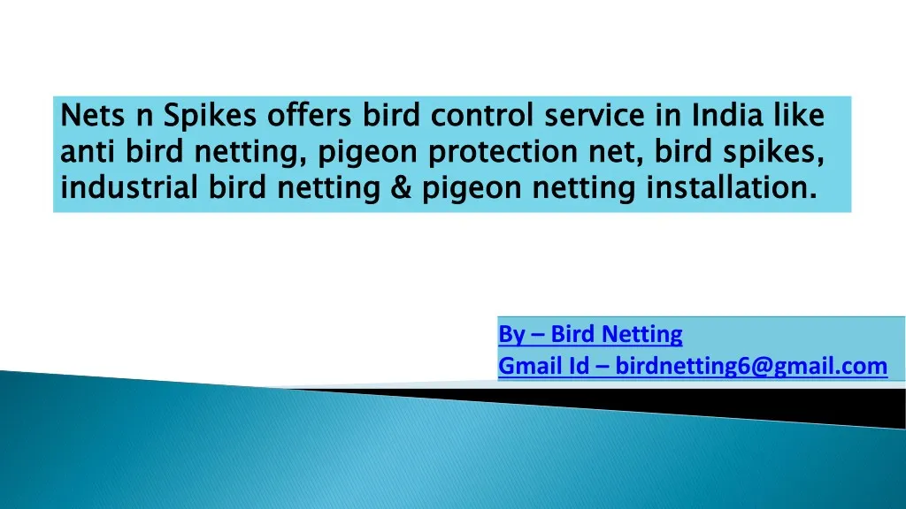 nets n spikes offers bird control service