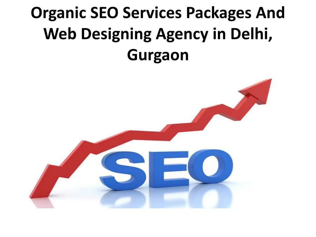 organic seo services packages and web designing agency in delhi gurgaon