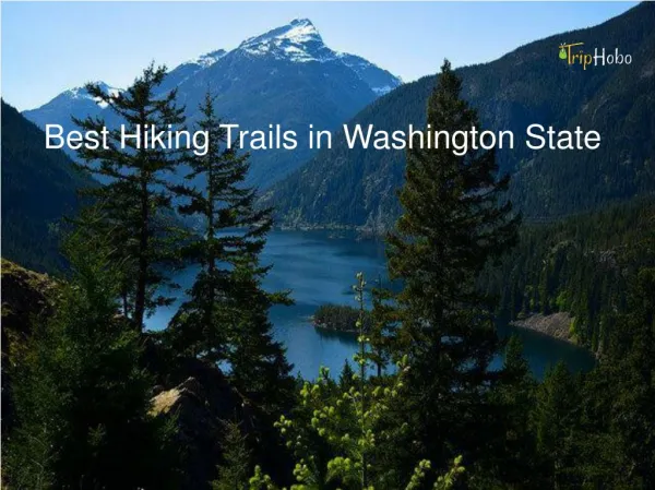 Best Hiking Trails In Washington State