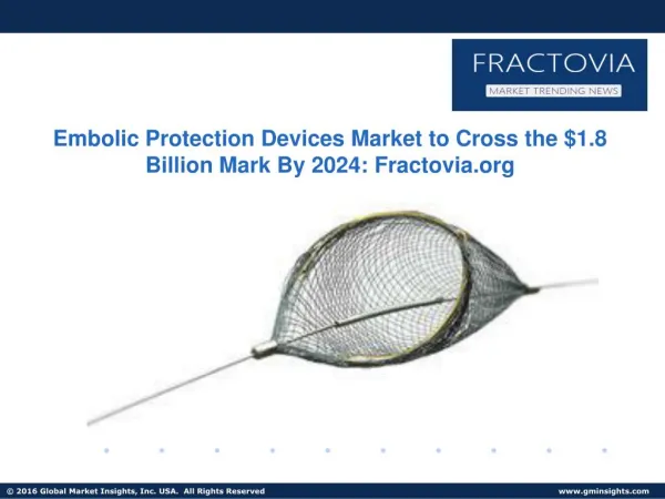 Embolic Protection Devices Market: Current Business Trends & Growth Opportunities 2017-2024