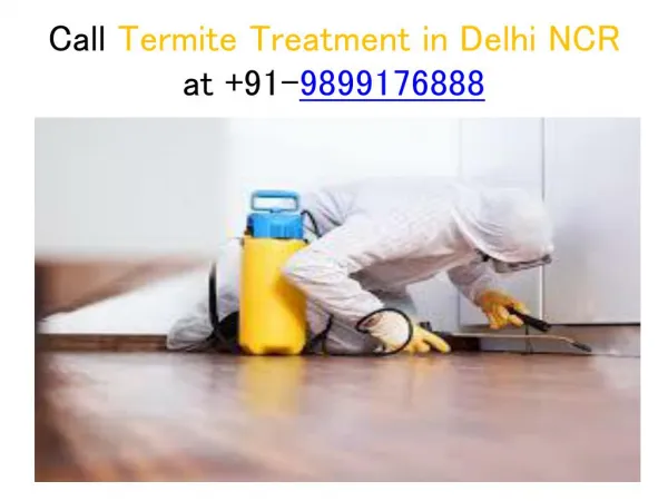 Best Termite Treatment in Delhi NCR at 10% Off