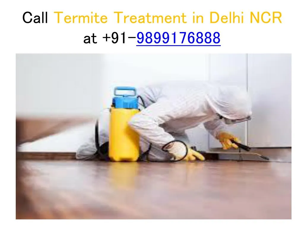 call termite treatment in delhi ncr at 91 9899176888