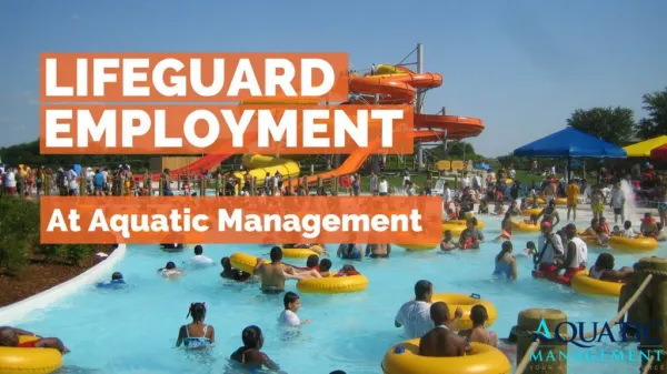 Lifeguard Employment At Aquatic Management.