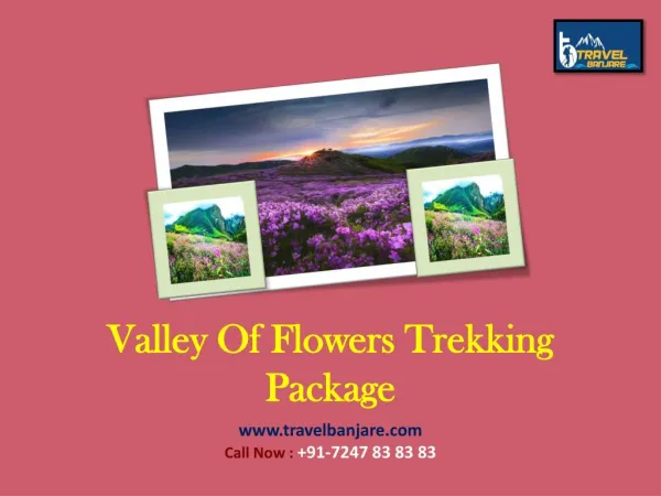Valley Of Flowers Trekking Package-Travel Banjare