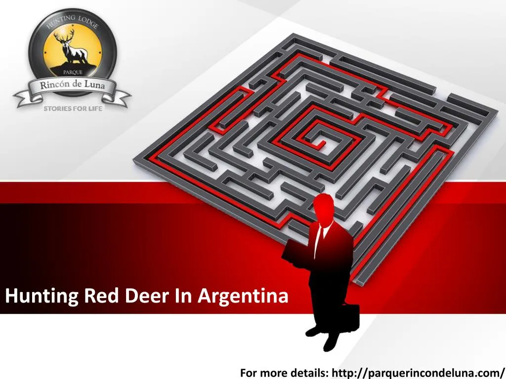 hunting red deer in argentina