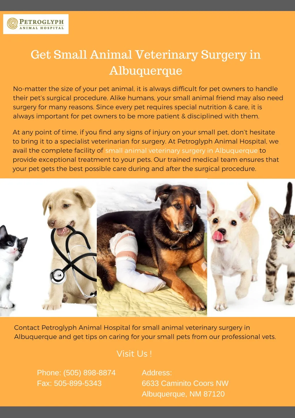 get small animal veterinary surgery in albuquerque