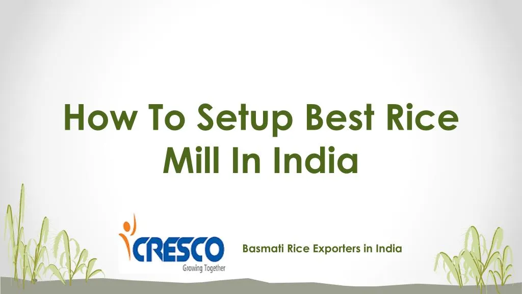 how to setup best rice mill in india