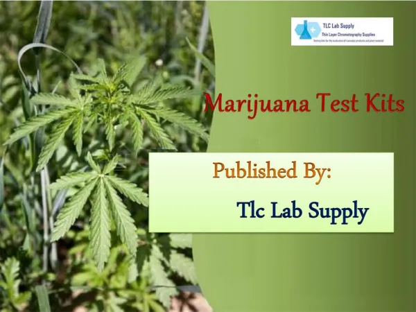 Buy Marijuana Test Kits From Tlc Lab Supply