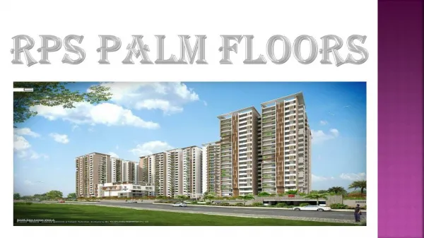rps palm floors Faridabad- rps palm floors Faridabad review