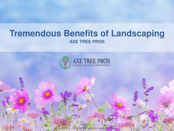 Tremendous Benefits of Landscaping
