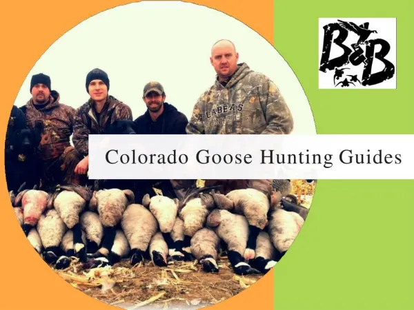 Colorado Goose Hunting Guides