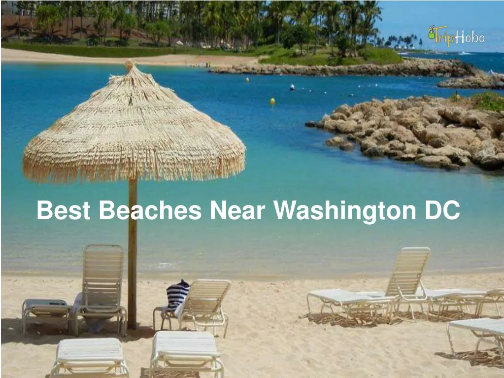 best beaches near washington dc