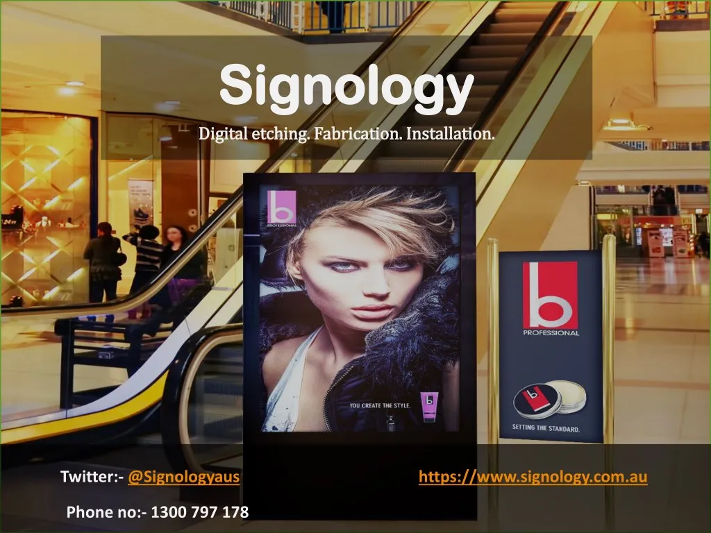 signology signology