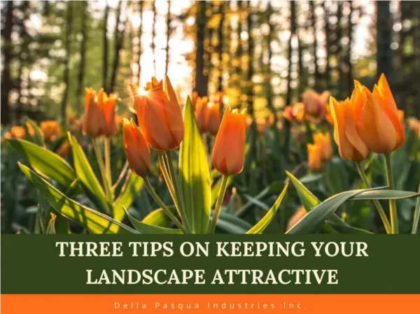 Three Tips on Keeping Your Landscape Attractive -DPI