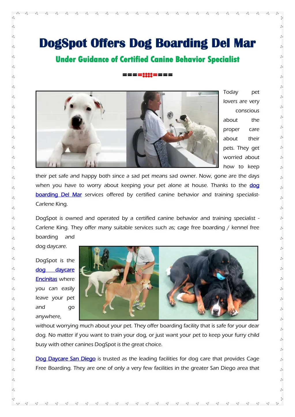 dogs dogspot offers dog boarding