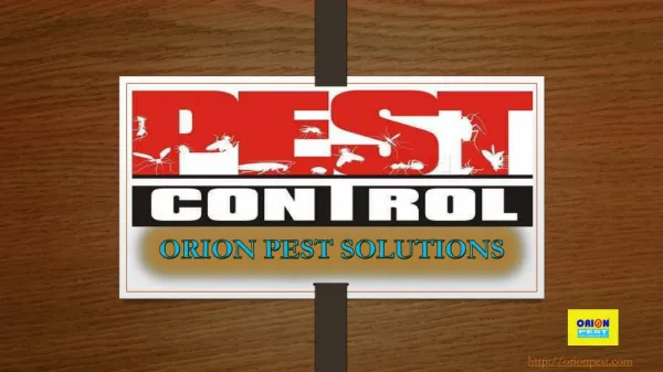 BEST PEST CONTROL COMPANY IN INDIA IS NOW IN YOUR CITY..