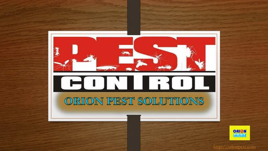 orion pest solutions