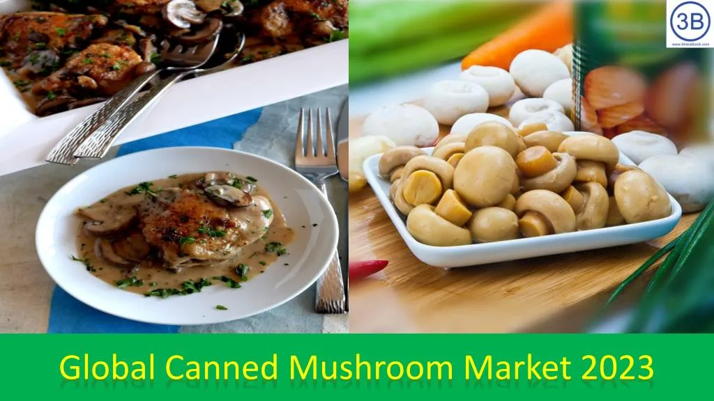 global canned mushroom market 2023